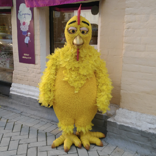 Chicken