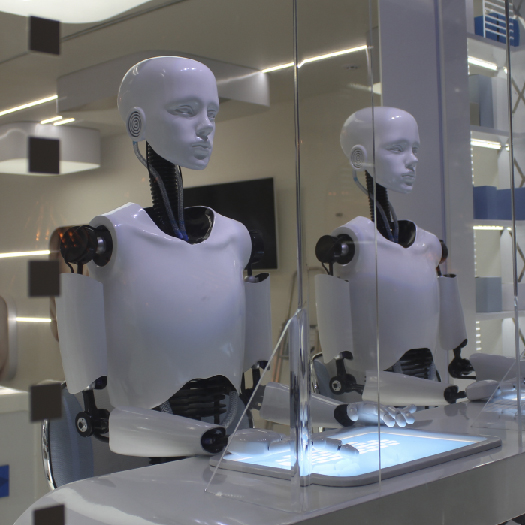 Robots
