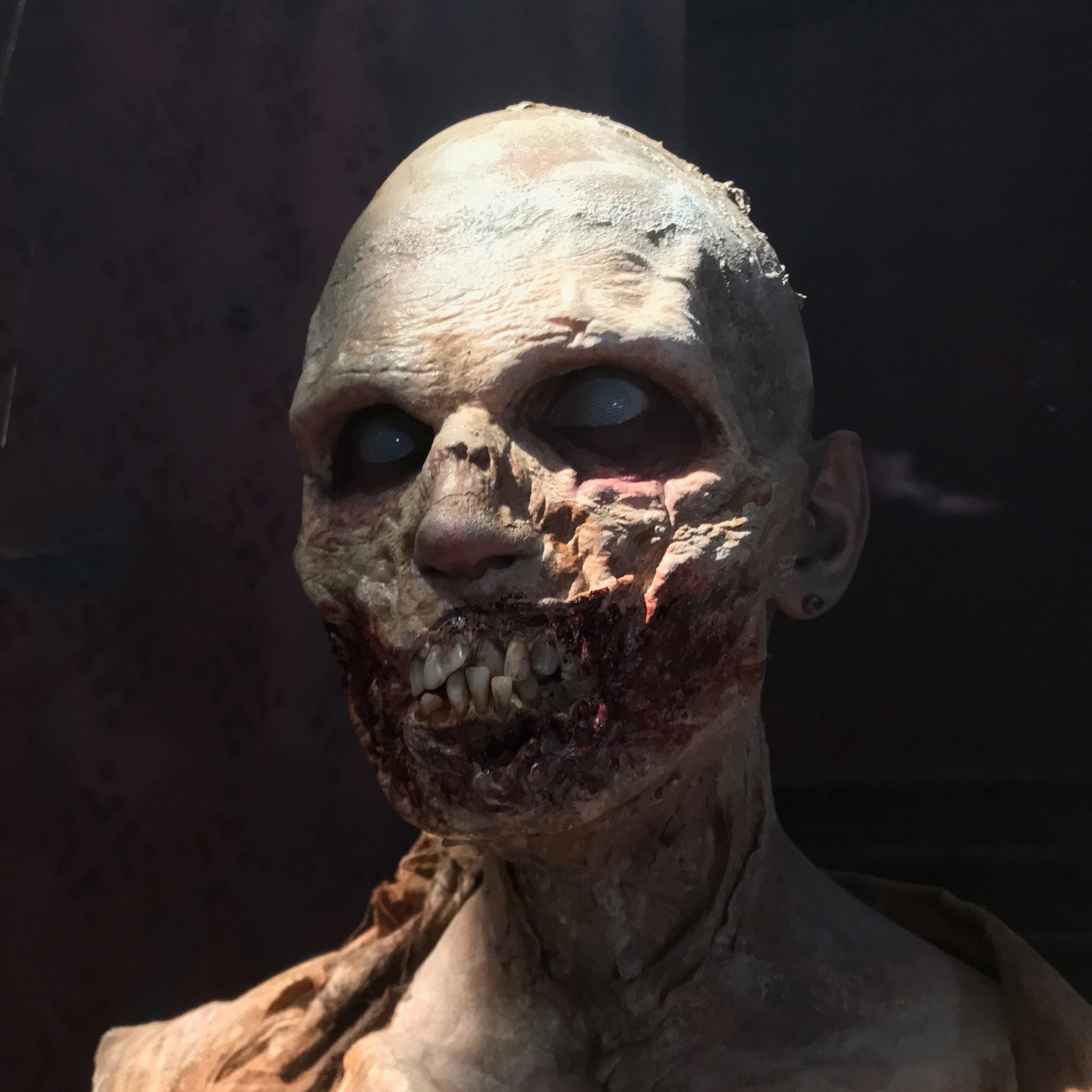 OCULUS / Zombies